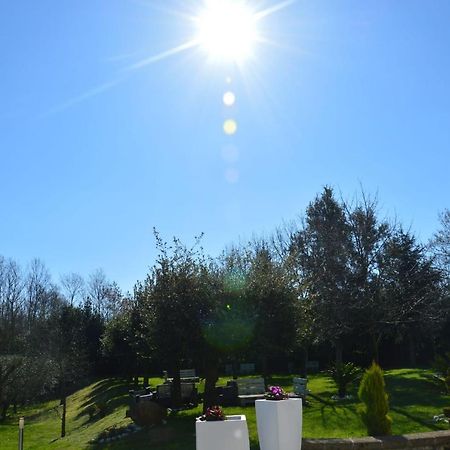 Tenuta Terra Tefra Villa Conca della Campania Bagian luar foto