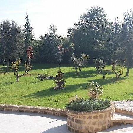 Tenuta Terra Tefra Villa Conca della Campania Bagian luar foto