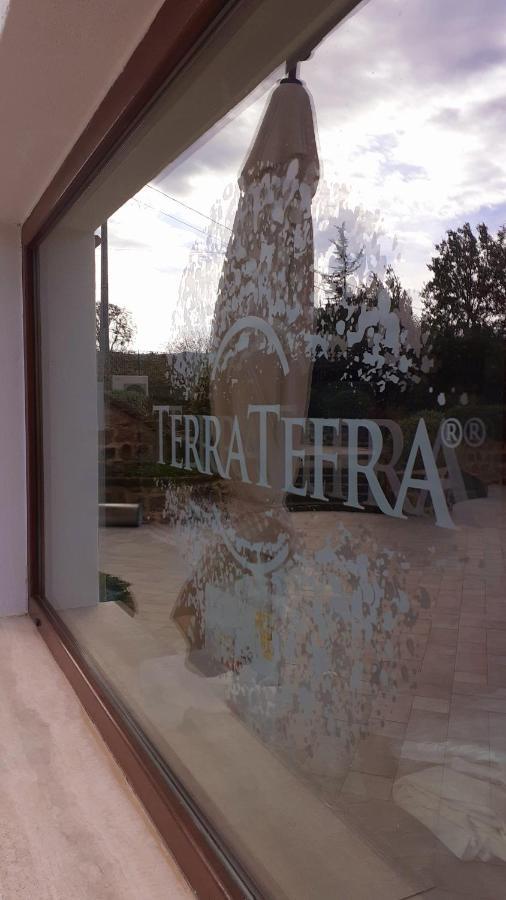 Tenuta Terra Tefra Villa Conca della Campania Bagian luar foto