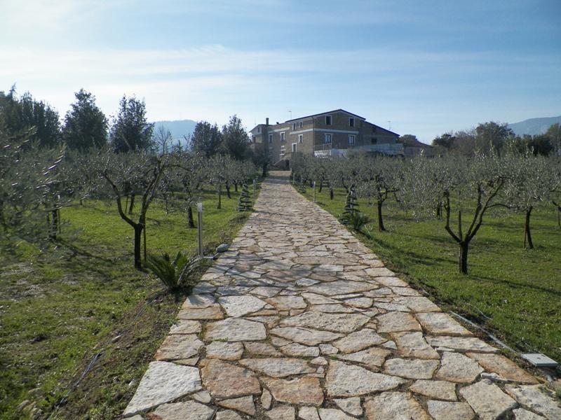 Tenuta Terra Tefra Villa Conca della Campania Bagian luar foto